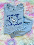 Silly Goose University